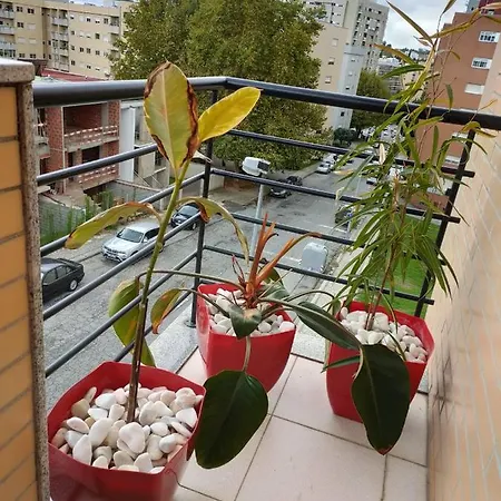 Votre Maison A / Your In * Braga